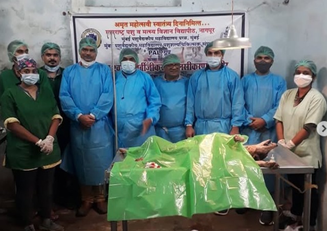 Dog Sterilization Camp Sindhudurg 2021